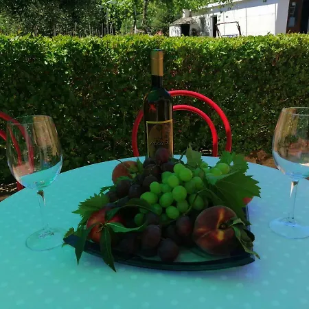 Apartamento Pharos *